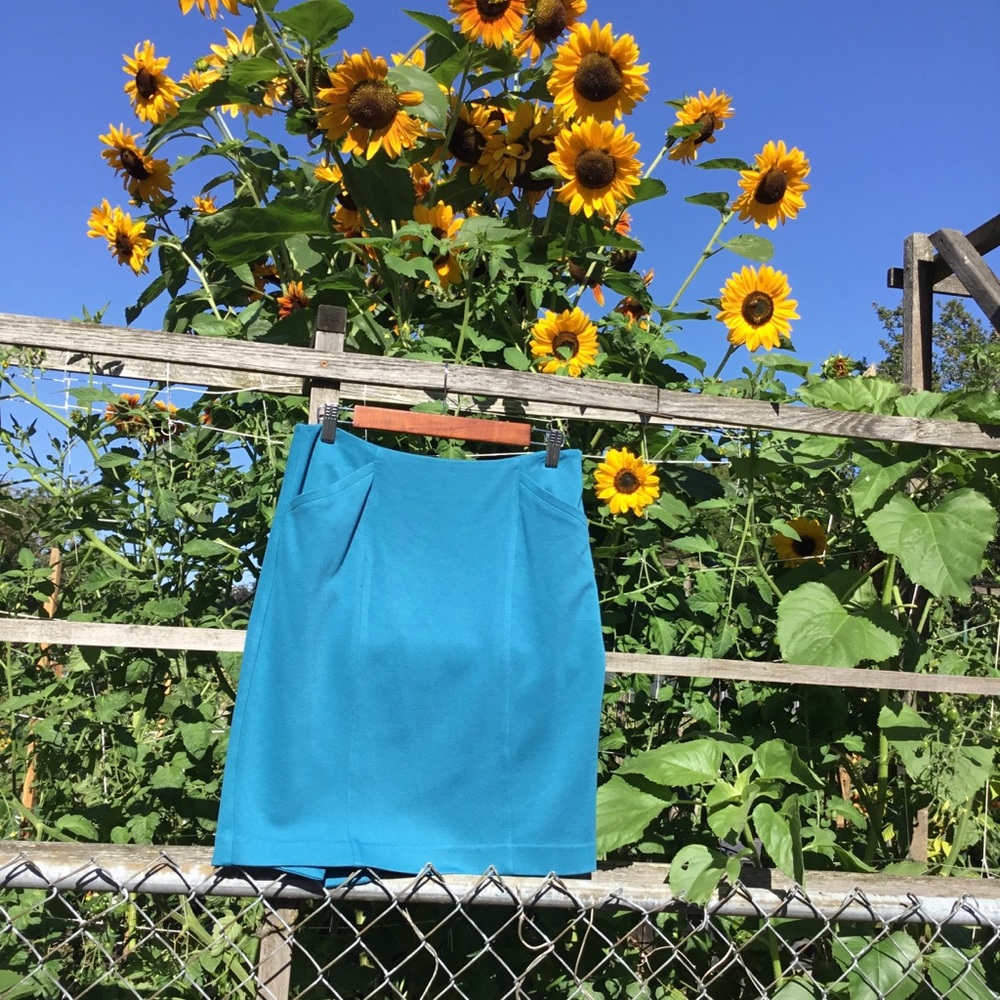 CAbi Pacific Blue Sigourney Skirt Size 4🔴